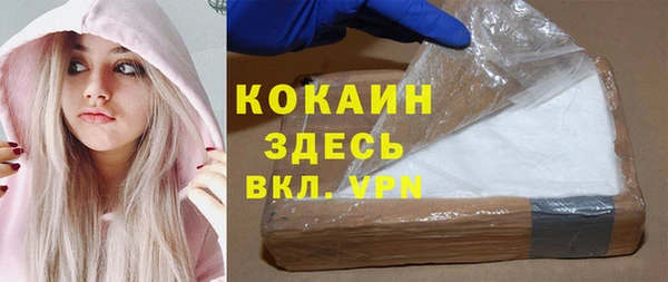 прущие грибы Строитель