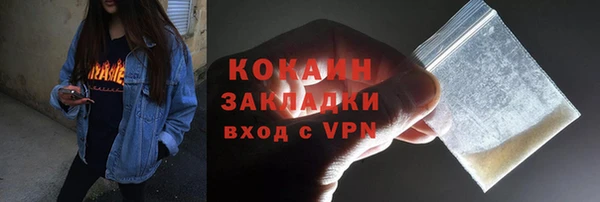 прущие грибы Строитель