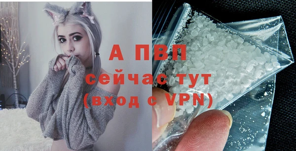 прущие грибы Строитель