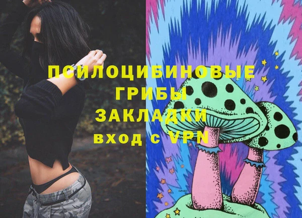 прущие грибы Строитель