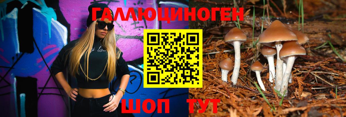 Галлюциногенные грибы ЛСД  Богданович 