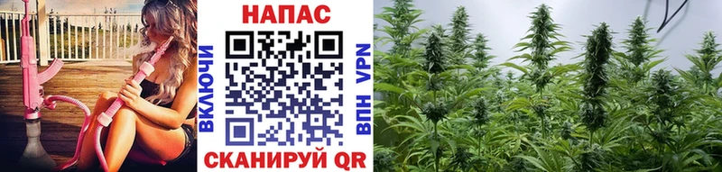Шишки марихуана MAZAR  darknet какой сайт  Богданович  наркотики 